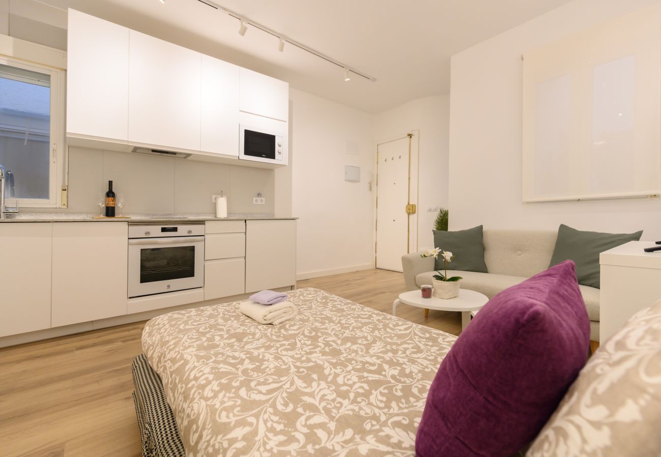 Apartamento en Madrid - M (GOS41B)Piso de 1 dormitorio en el Centro de Mad