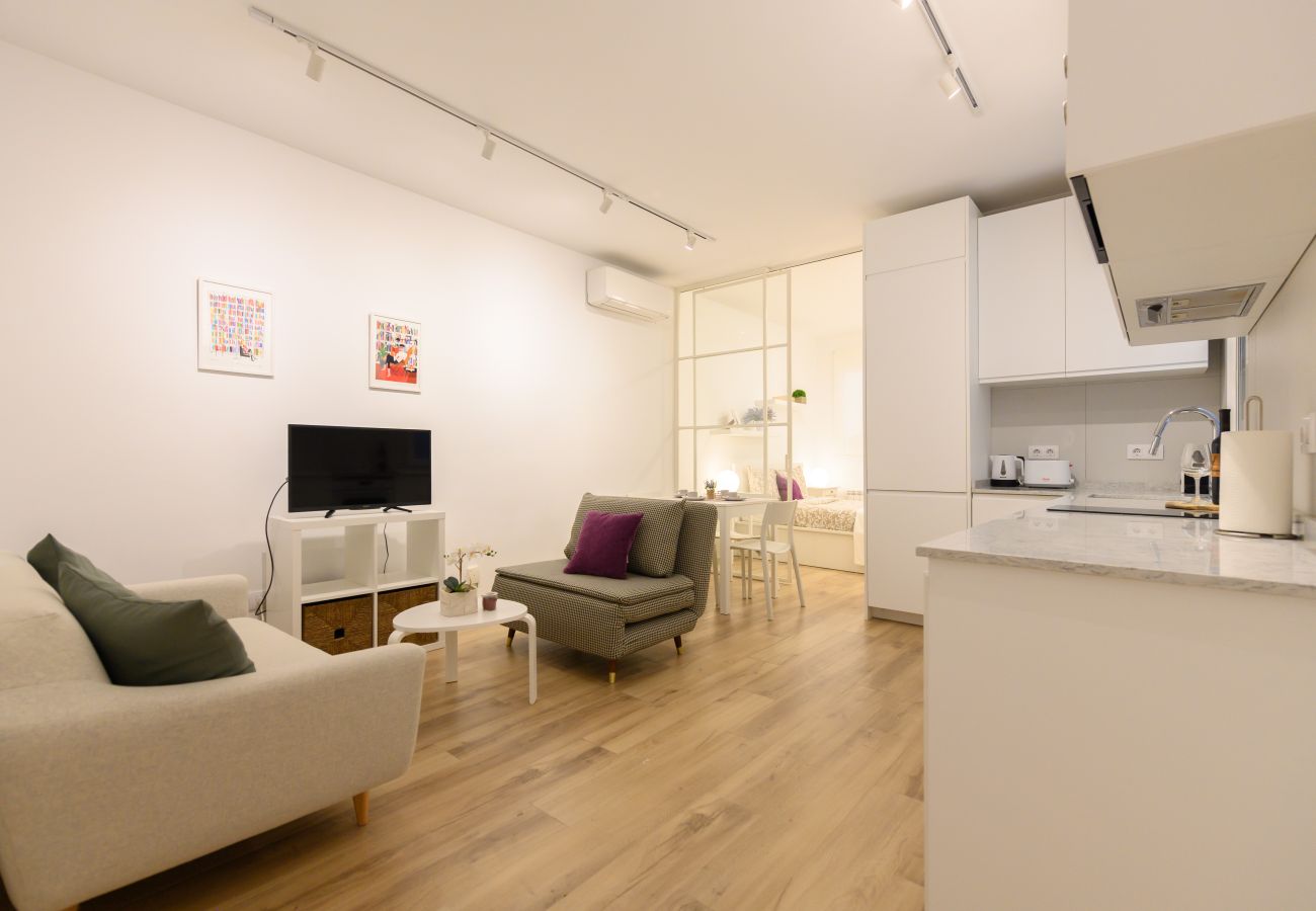 Apartamento en Madrid - M (GOS41B)Piso de 1 dormitorio en el Centro de Mad