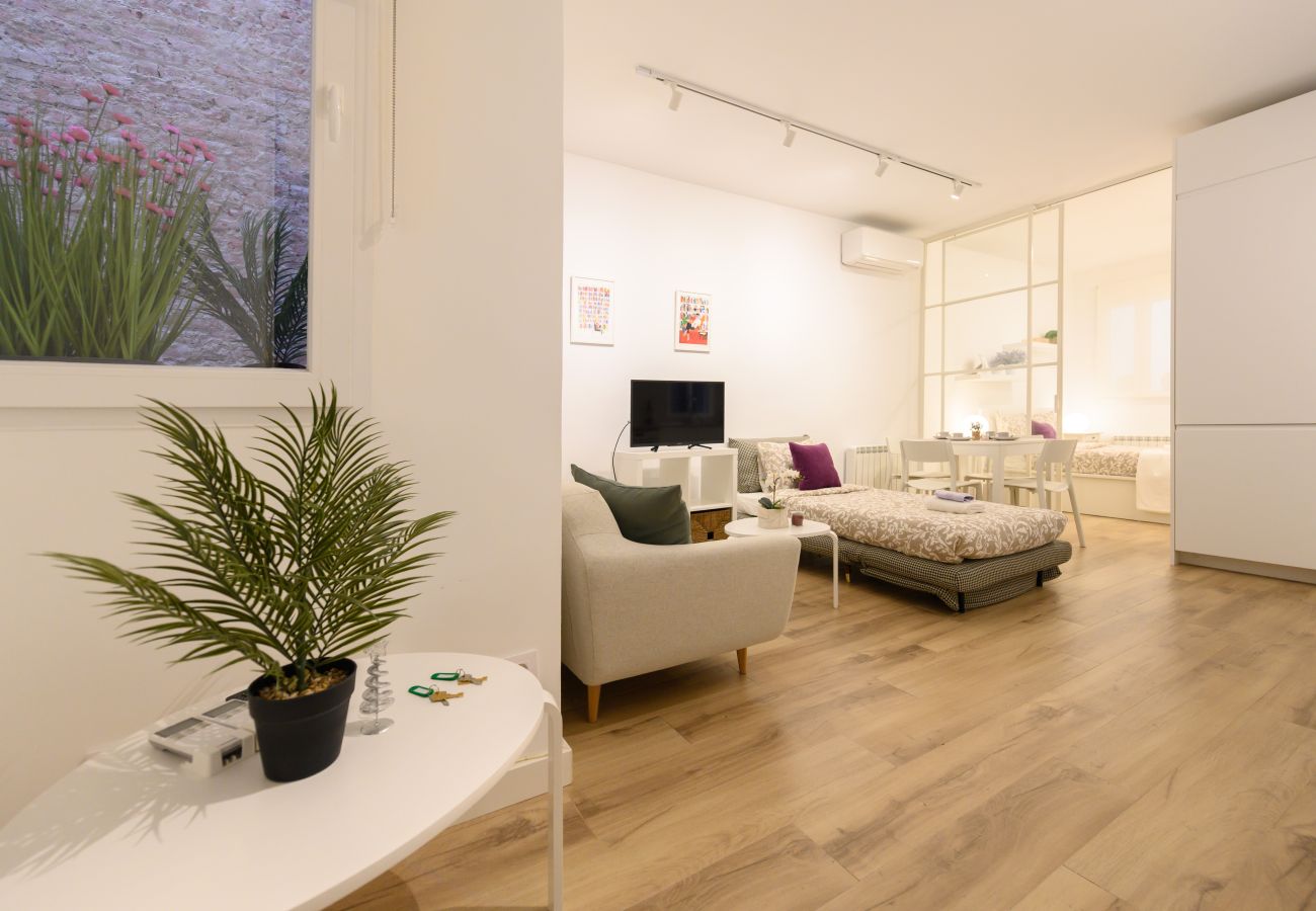 Apartamento en Madrid - M (GOS41B)Piso de 1 dormitorio en el Centro de Mad