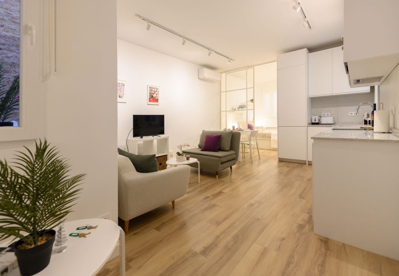 Apartamento en Madrid - M (GOS41B)Piso de 1 dormitorio en el Centro de Mad