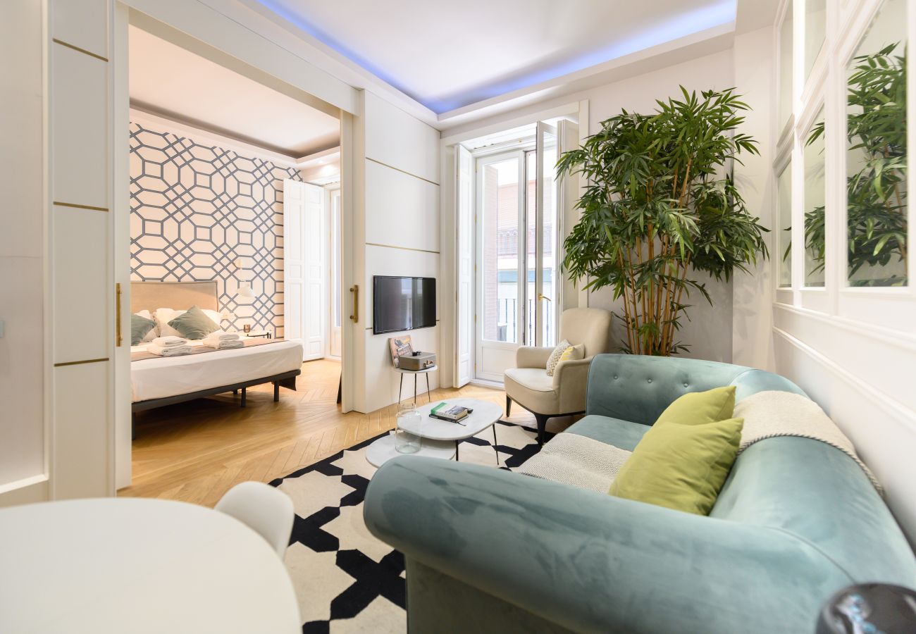 Apartamento en Madrid - M (REI25)Apartamento de Lujo en el Corazón de Madr