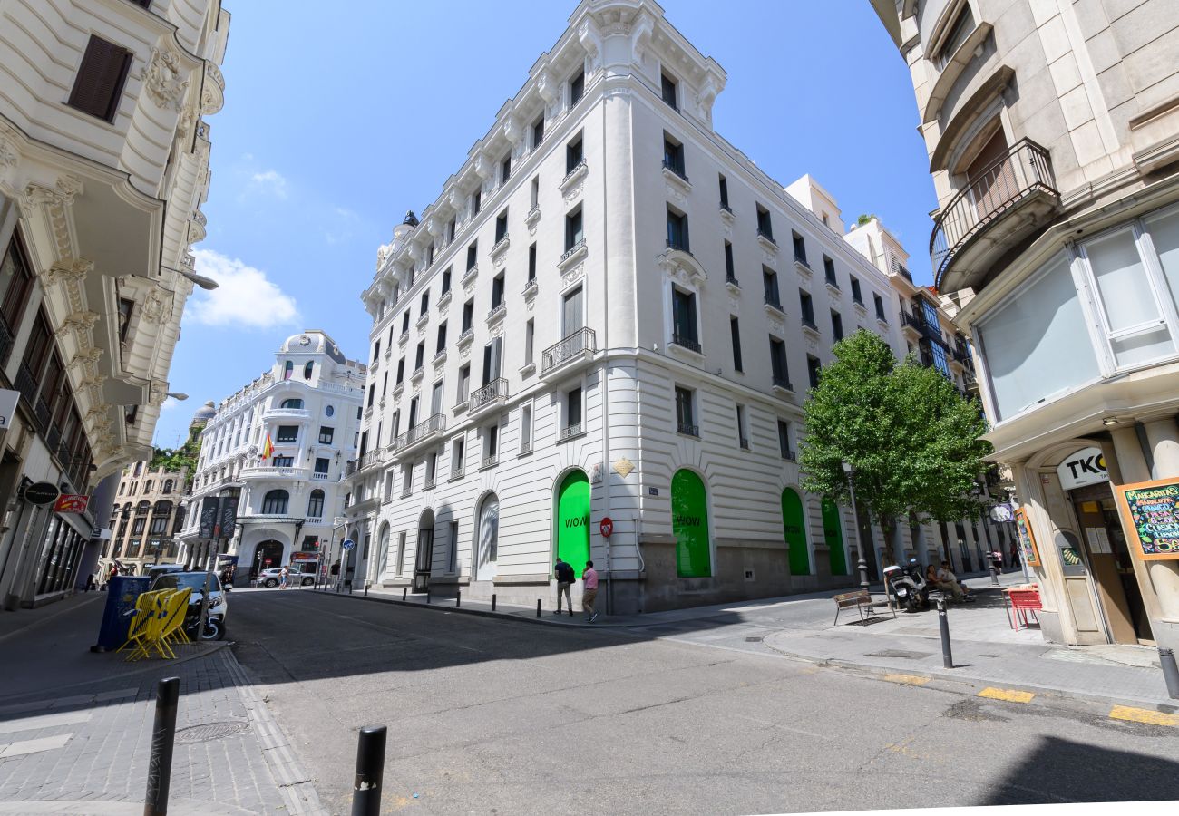 Apartamento en Madrid - M (REI25)Apartamento de Lujo en el Corazón de Madr