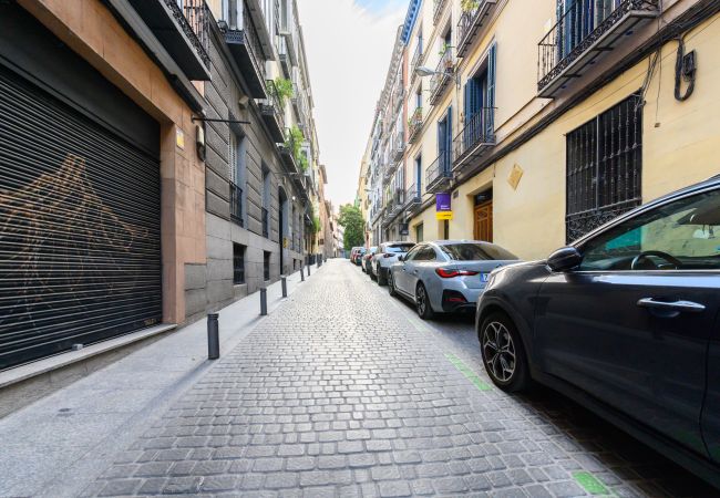 Apartamento en Madrid - M (LDV330)Loft de 2 dormitorios en el centro de Ma Apartamento en Madrid - M (LDV330)Loft de 2 dormitorios en el centro de Ma