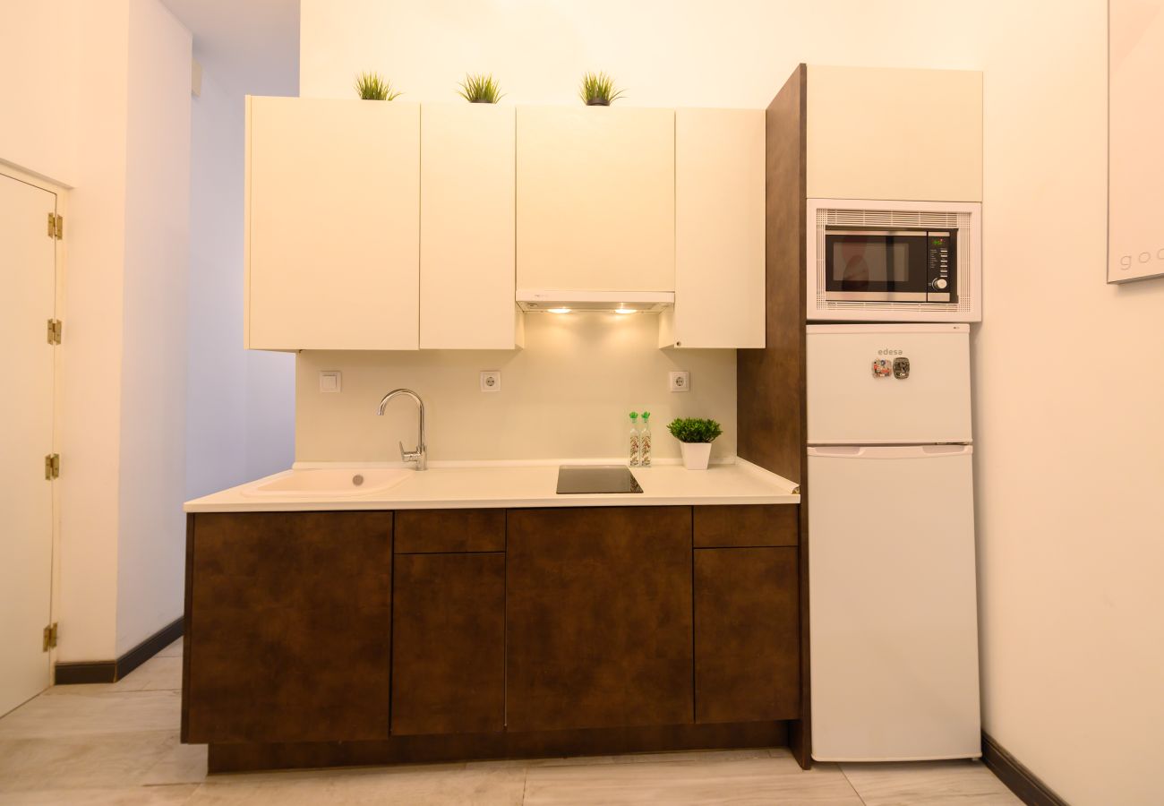 Apartamento en Madrid - M (LDV33)Loft de 2 dormitorios en el centro de Mad