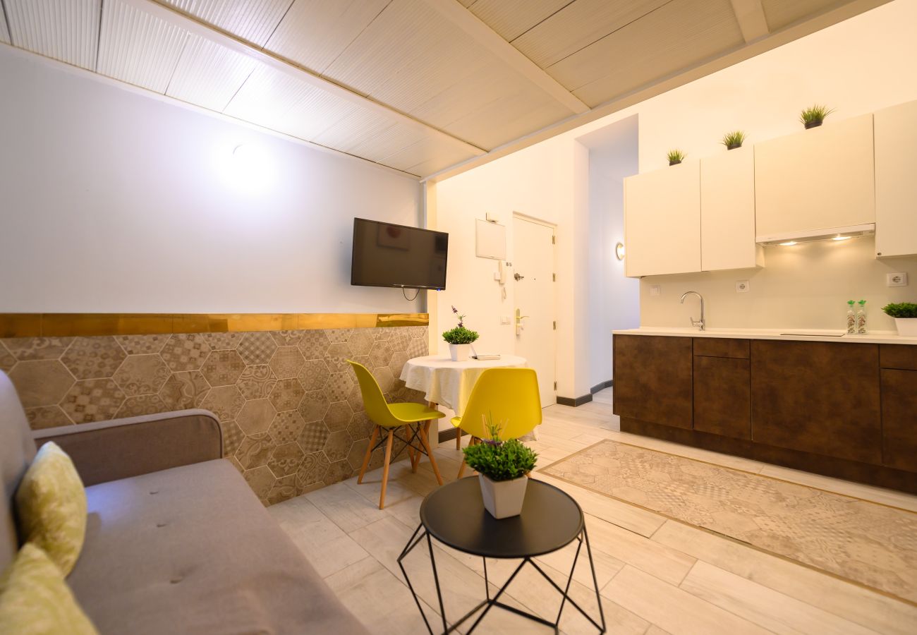 Apartamento en Madrid - M (LDV33)Loft de 2 dormitorios en el centro de Mad