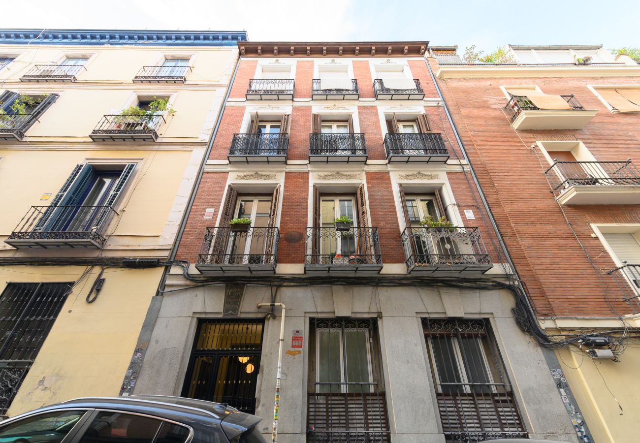 Apartamento en Madrid - M (LDV33)Loft de 2 dormitorios en el centro de Mad