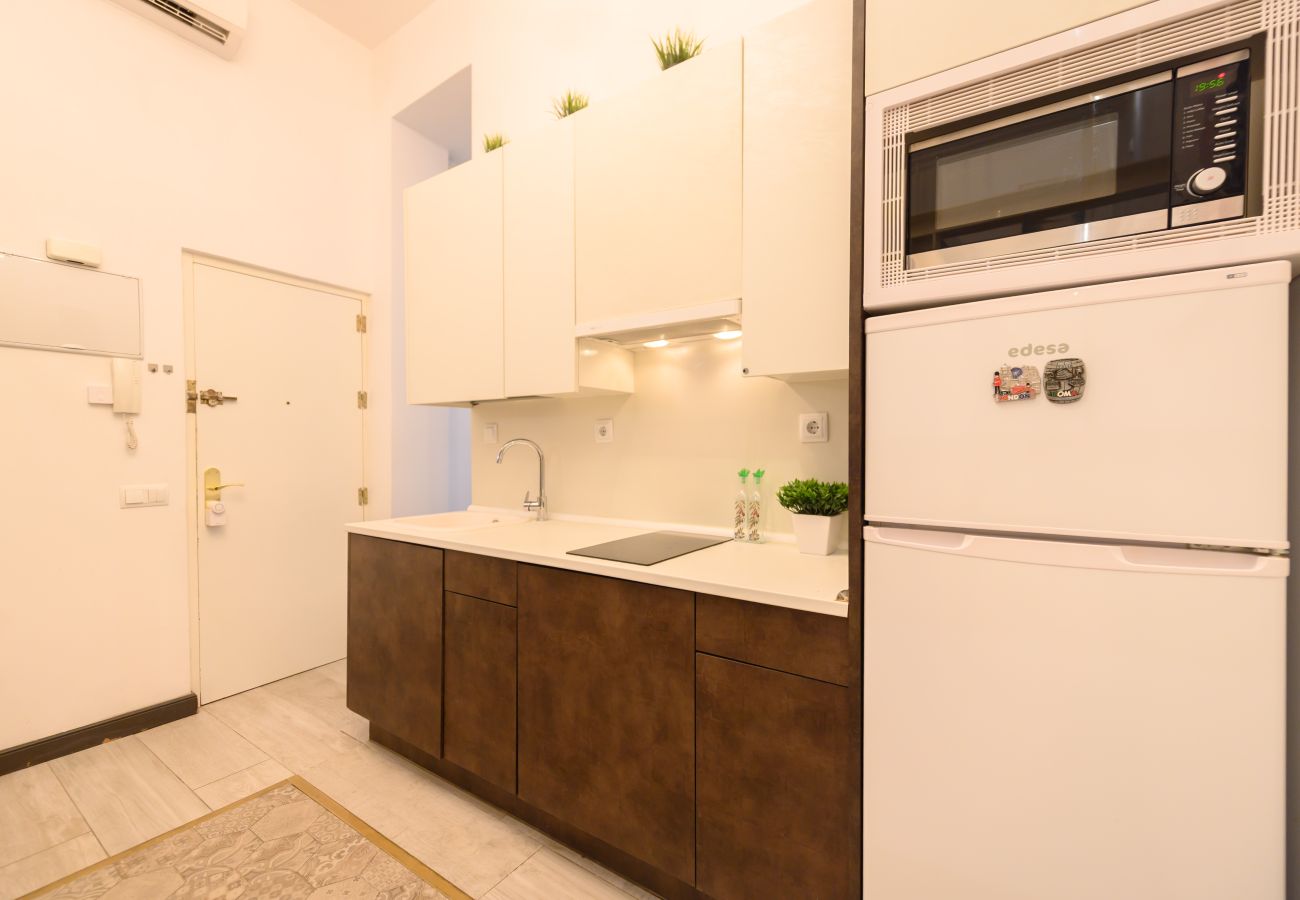 Apartamento en Madrid - M (LDV33)Loft de 2 dormitorios en el centro de Mad