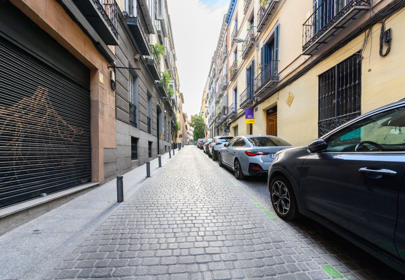 Apartamento en Madrid - M (LDV33)Loft de 2 dormitorios en el centro de Mad
