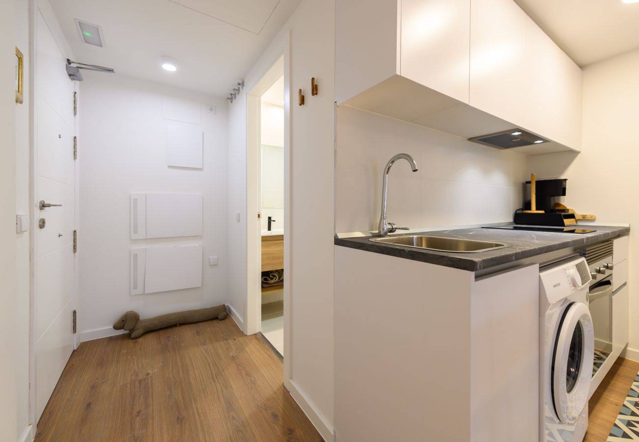 Estudio en San Sebastián de los Reyes - M (FVE53) Estudio moderno con terraza privada y ex