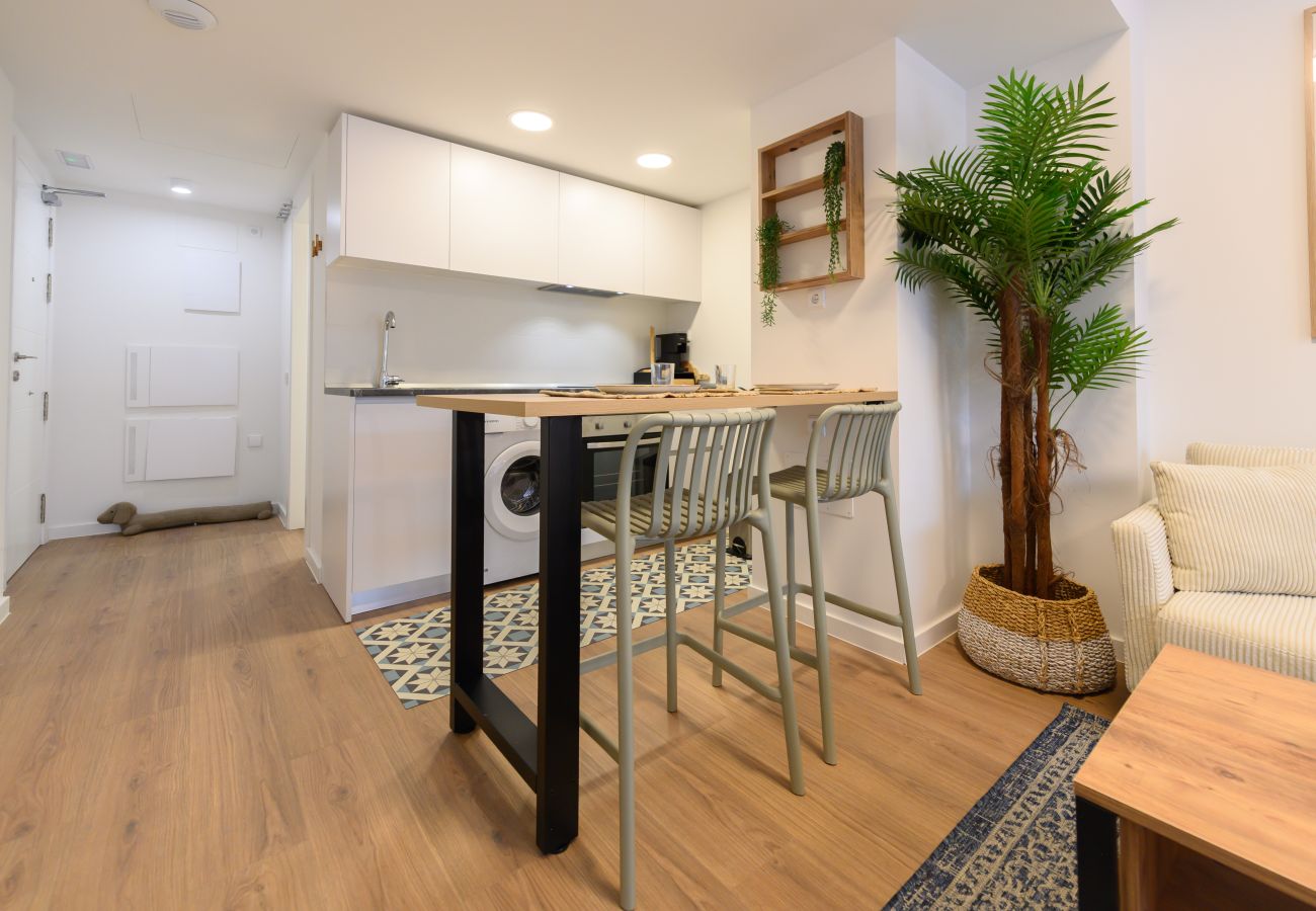 Estudio en San Sebastián de los Reyes - M (FVE53) Estudio moderno con terraza privada y ex