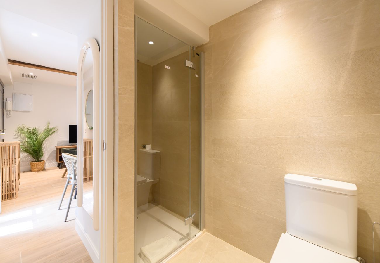 Apartamento en Madrid - M (ENC132B)Acogedora vivienda en La Latina, una de