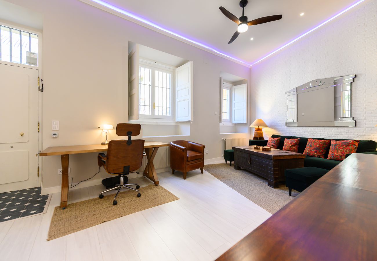 Apartamento en Madrid - M (PDA2BI) Amplio y cómodo apartamento de un dormi