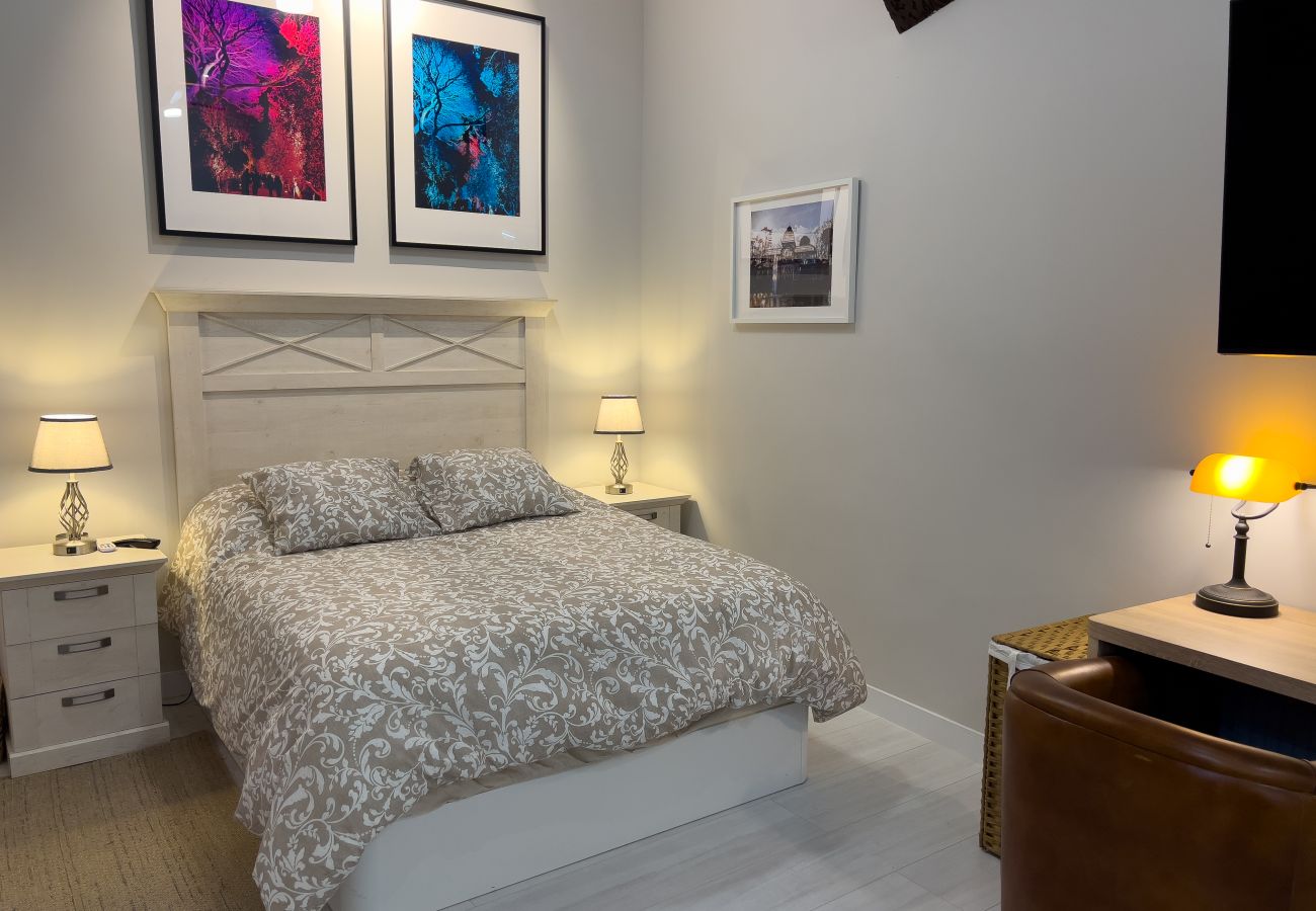 Apartamento en Madrid - M (PDA2BI)LOFT DE LUJO, DE DISEÑO, HISTÓRICO, A ES