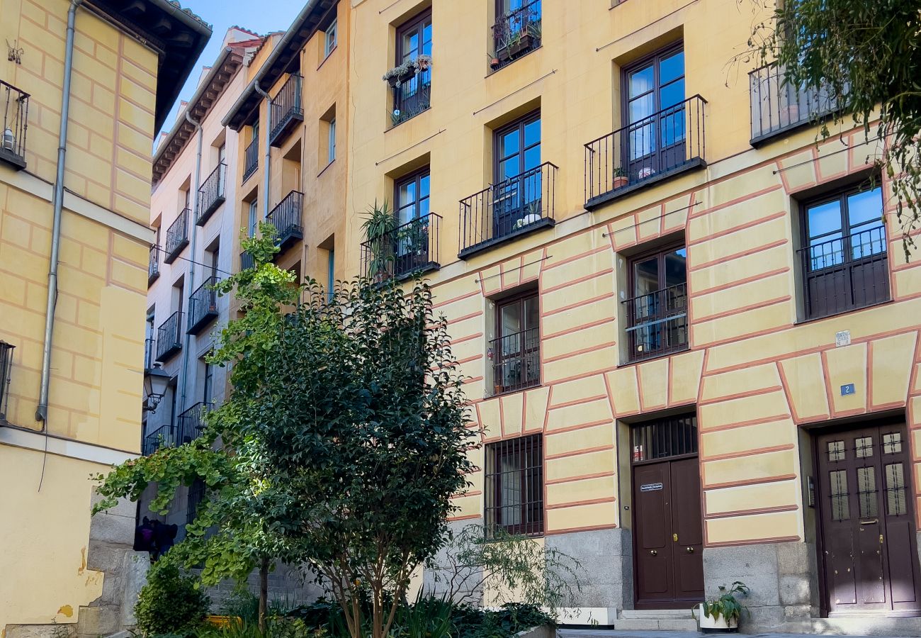 Apartamento en Madrid - M (PDA2BI)LOFT DE LUJO, DE DISEÑO, HISTÓRICO, A ES