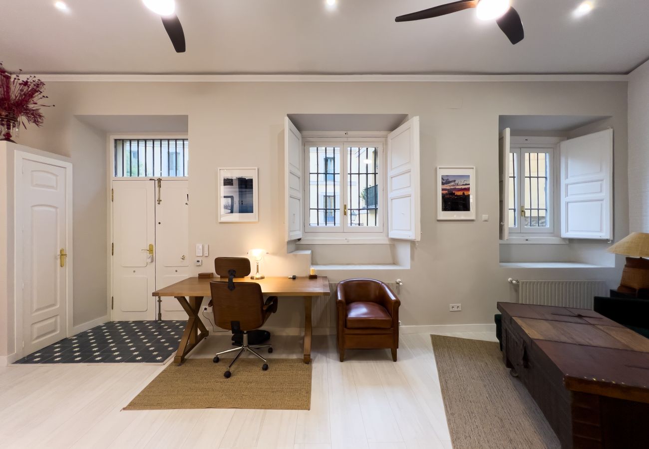 Apartamento en Madrid - M (PDA2BI)LOFT DE LUJO, DE DISEÑO, HISTÓRICO, A ES