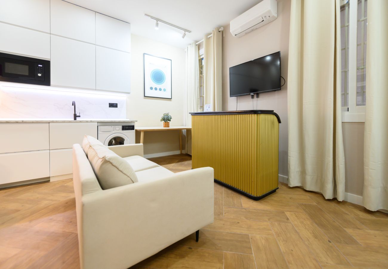 Estudio en Madrid - M (NDA11BII)Acogedor estudio interior con todas la