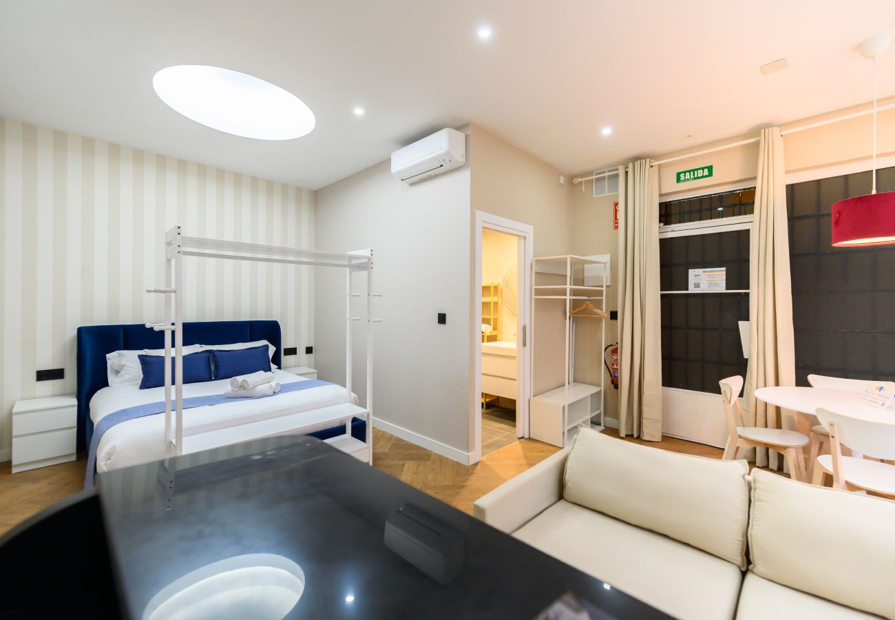 Estudio en Madrid - M (NDA11BII)Acogedor estudio interior con todas la