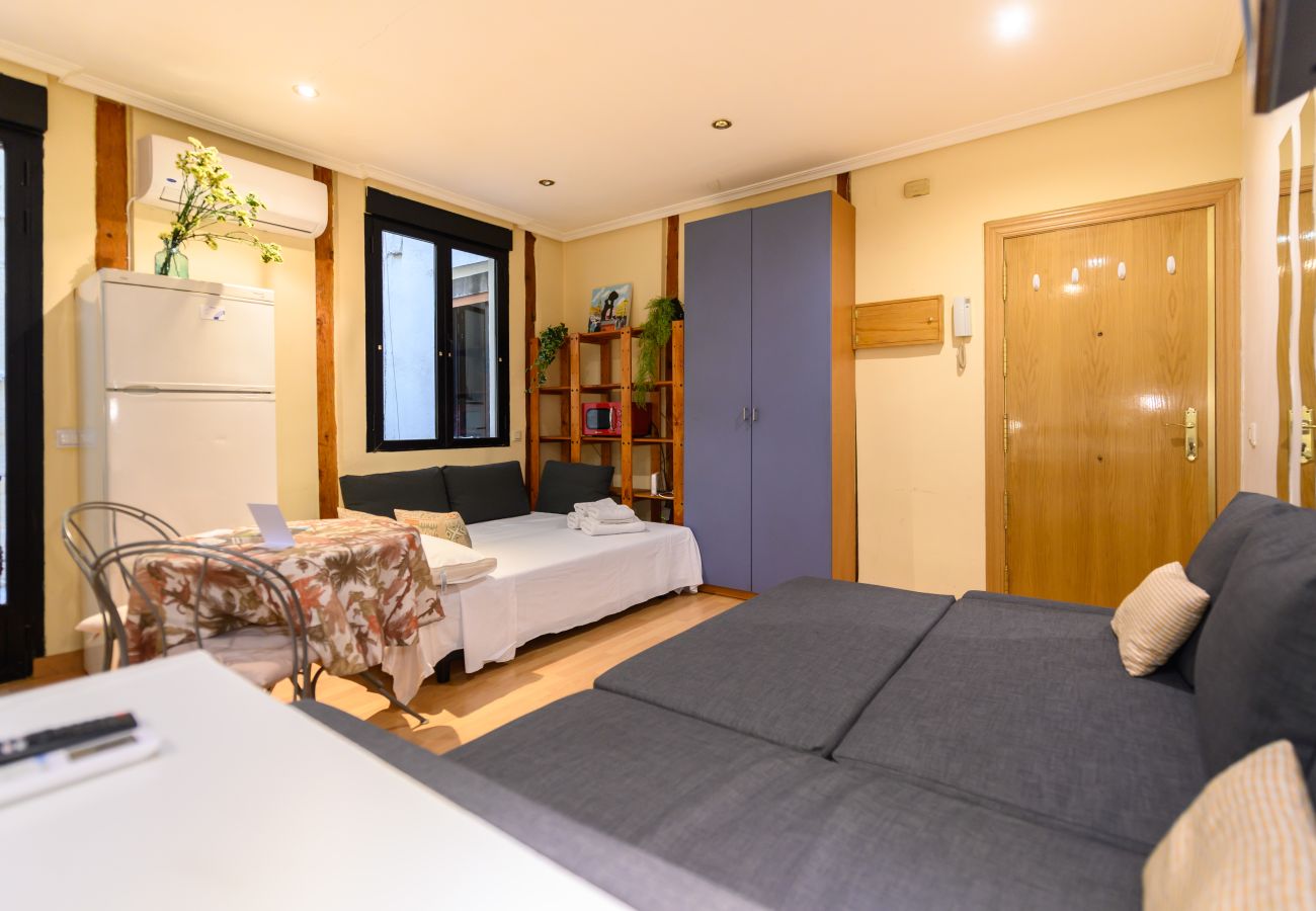 Apartamento en Madrid - M (VAL81A) Amplio estudio en el centro de Madrid