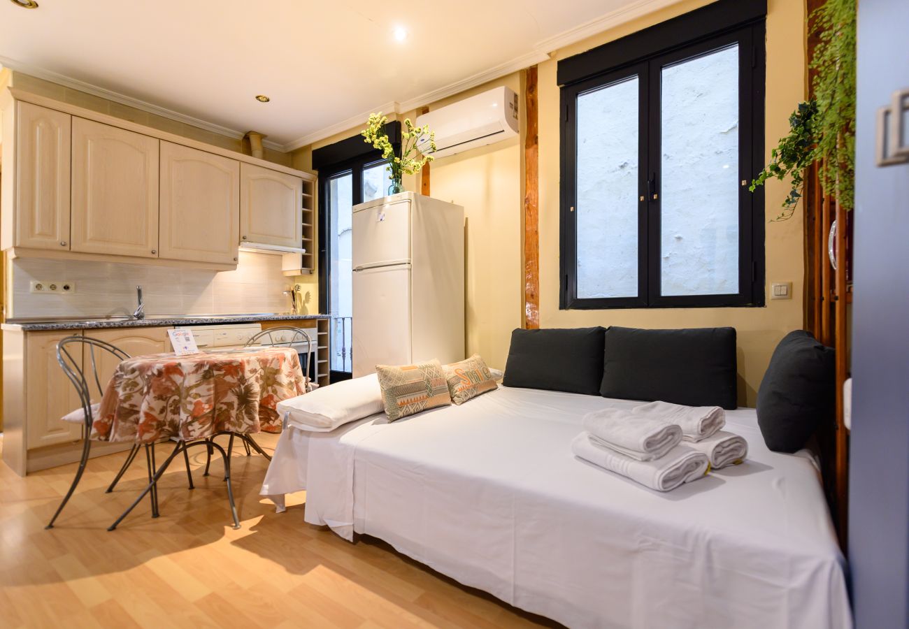 Apartamento en Madrid - M (VAL81A) Amplio estudio en el centro de Madrid