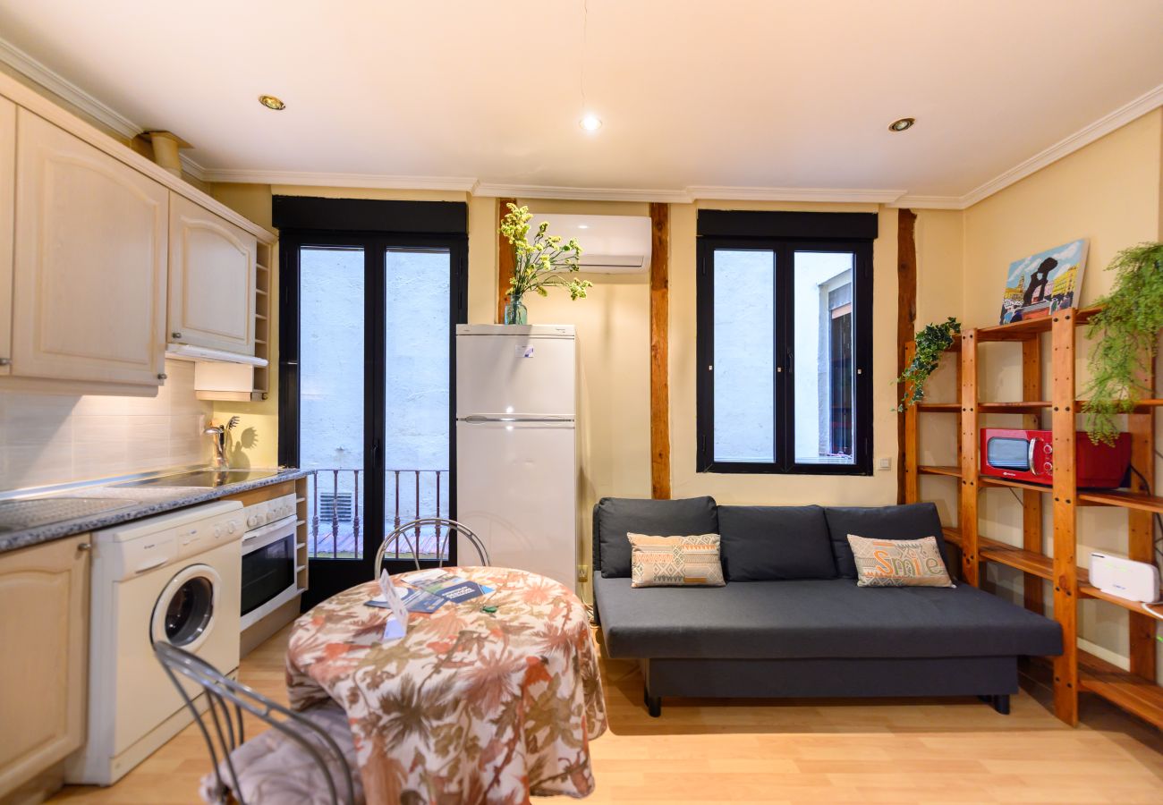 Apartamento en Madrid - M (VAL81A) Amplio estudio en el centro de Madrid