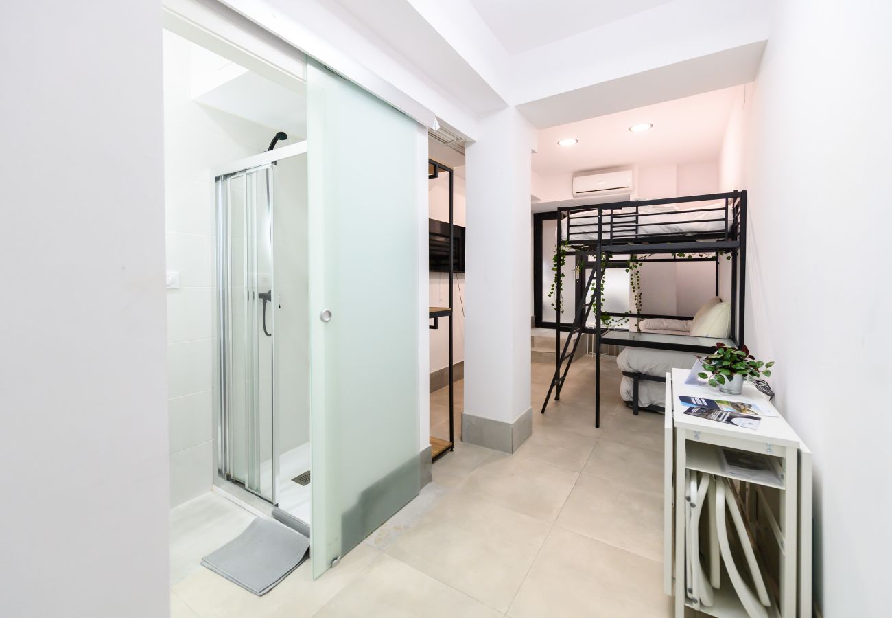 Estudio en Madrid - M (RJS3) Acogedor Estudio en Barrio Salamanca