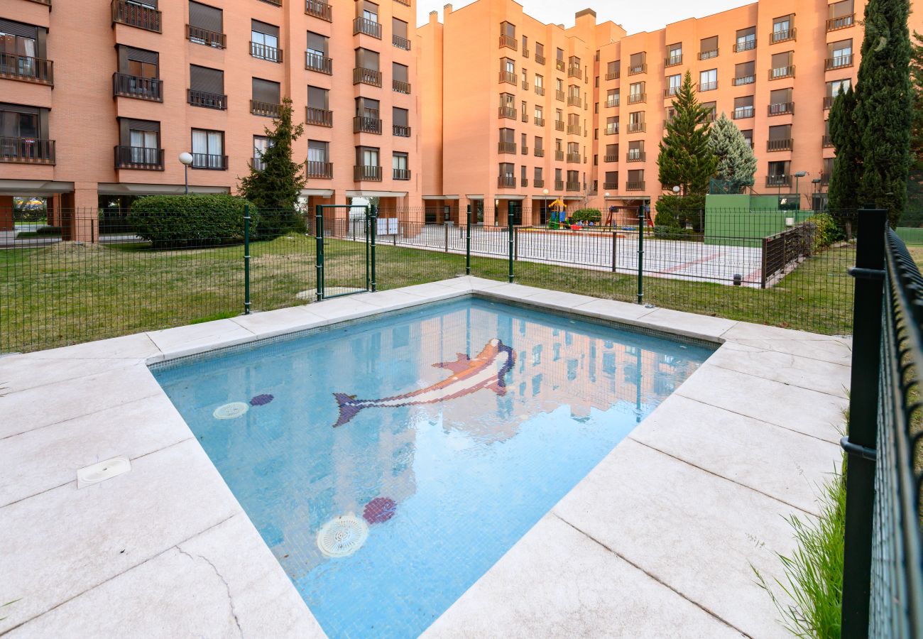 Apartamento en Madrid - M (SAM12) Fantástico piso de un dormitorio