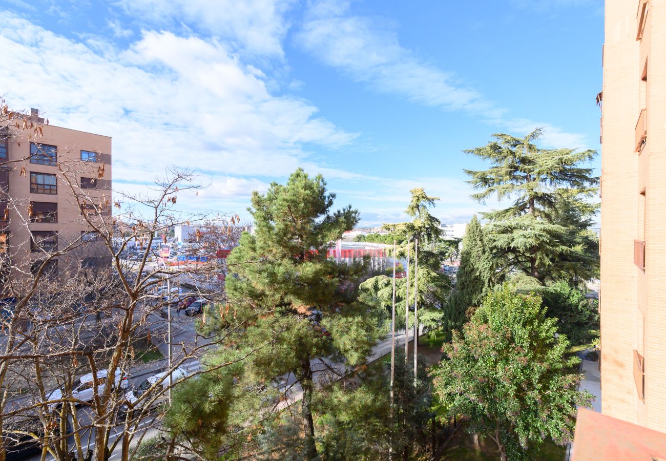 Apartamento en Madrid - M (SAM12) Fantástico piso de un dormitorio