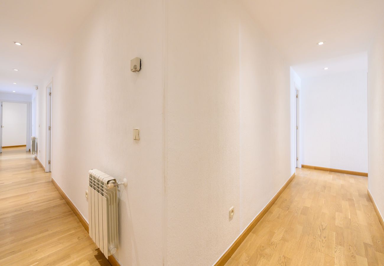Apartamento en Madrid - M (FER55D) Amplio piso 3 dormitorios en Moncloa