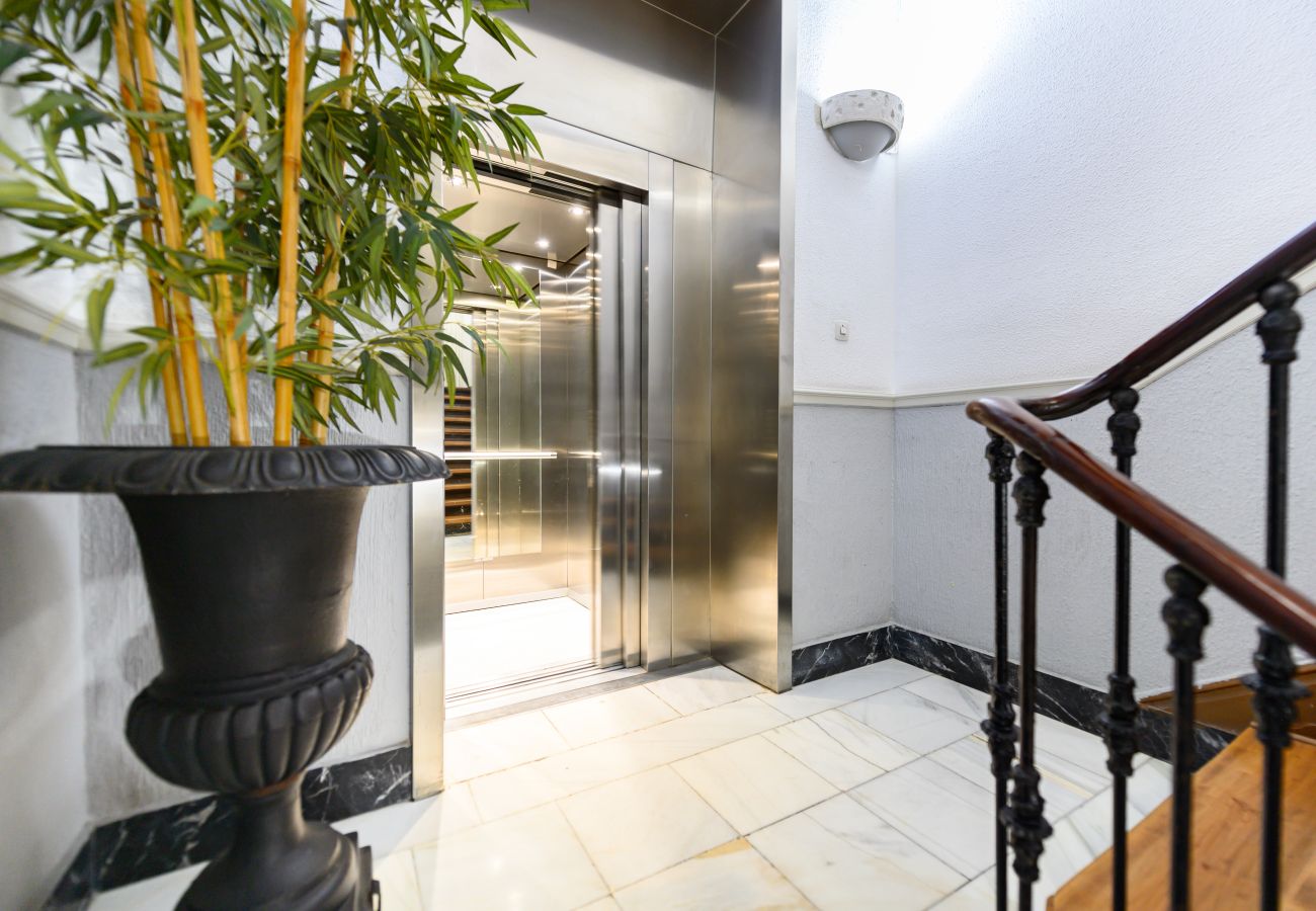 Apartamento en Madrid - M (FER55D) Amplio piso 3 dormitorios en Moncloa