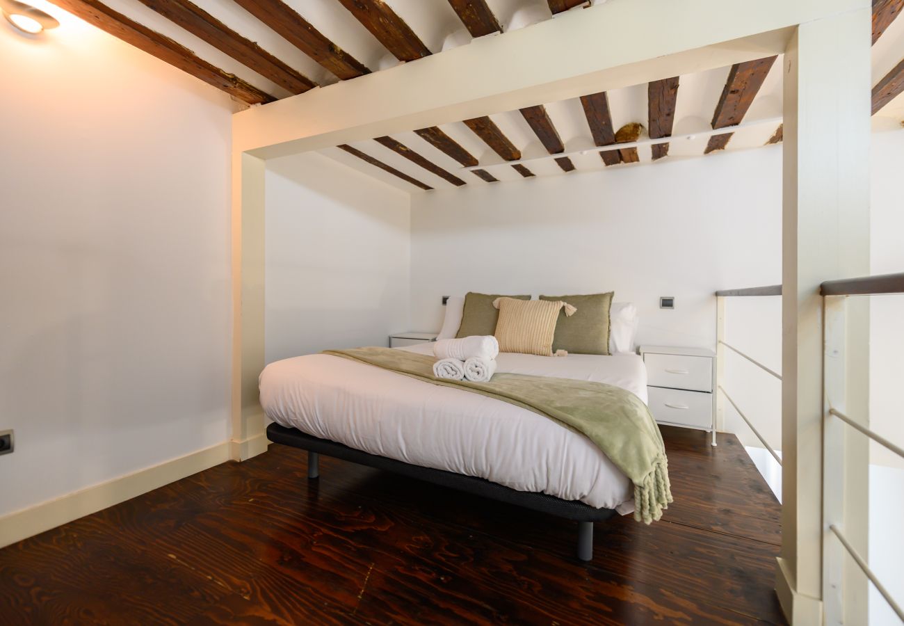 Apartamento en Madrid - M (ESA121ID) Amplio Dúplex en el centro de Madrid