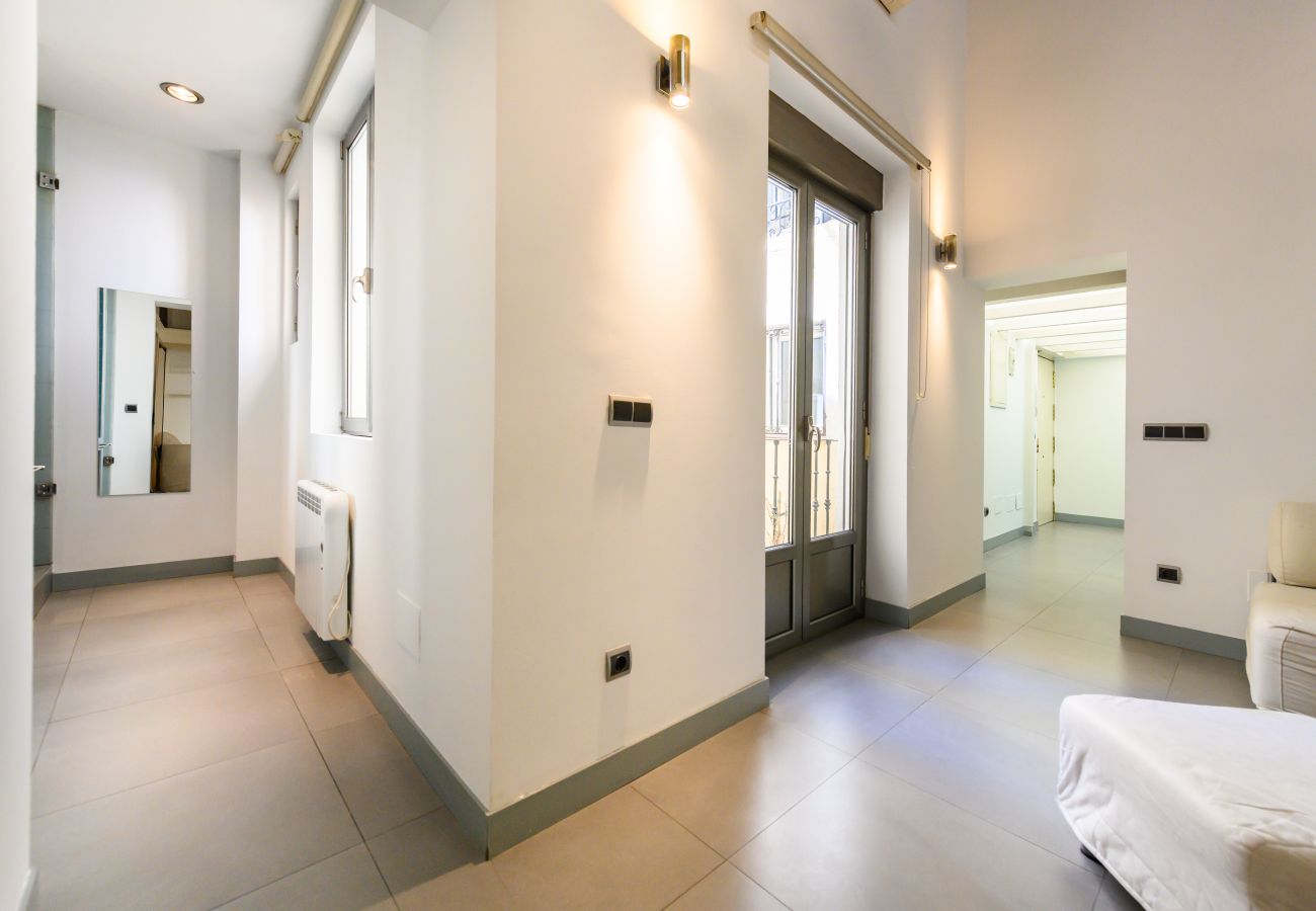 Apartamento en Madrid - M (ESA121ID) Amplio Dúplex en el centro de Madrid