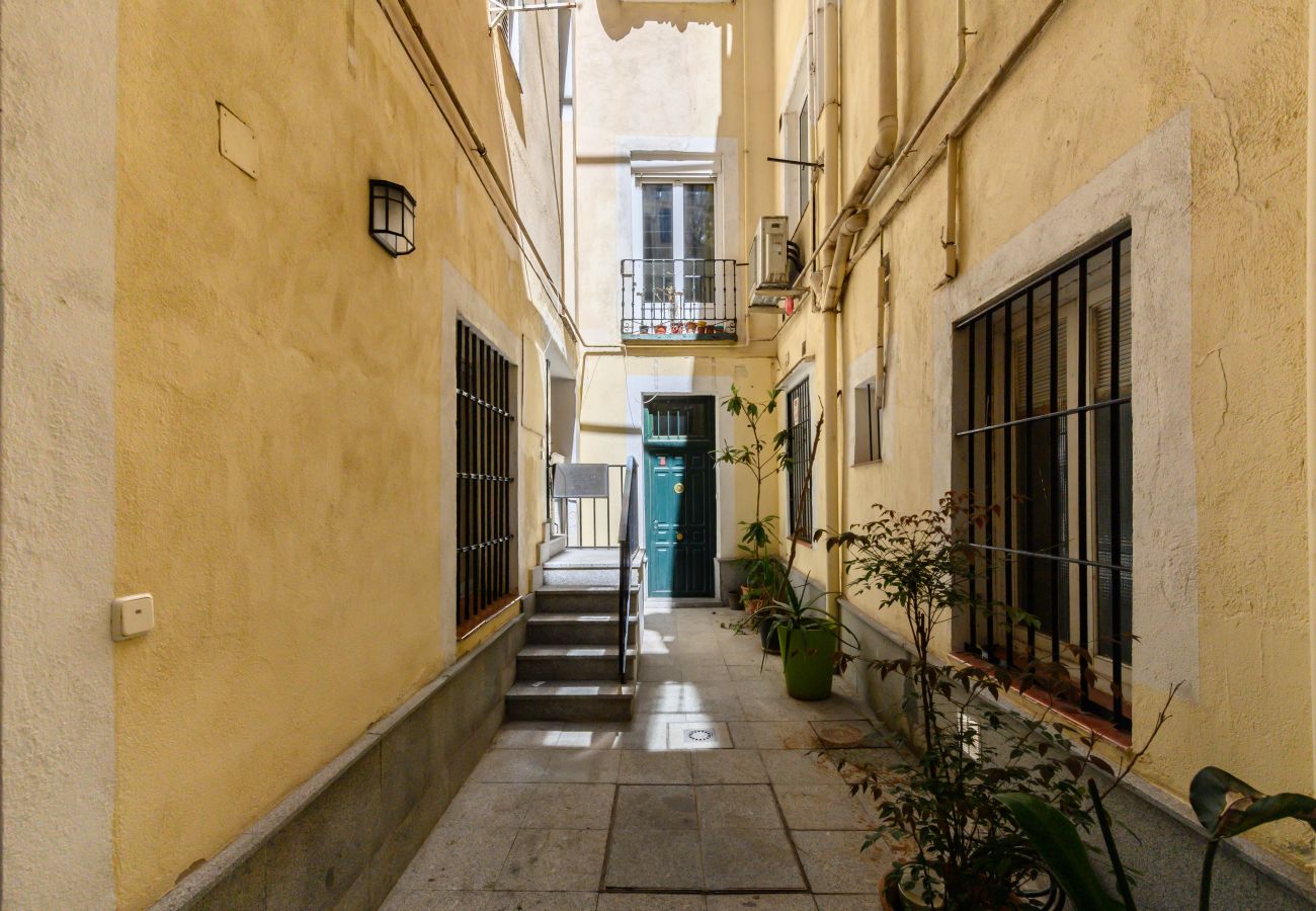 Apartamento en Madrid - M (ESA121ID) Amplio Dúplex en el centro de Madrid