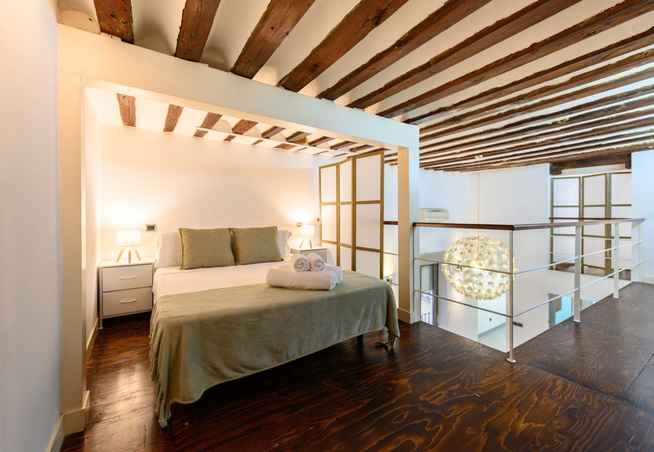 Apartamento en Madrid - M (ESA121ID) Amplio Dúplex en el centro de Madrid