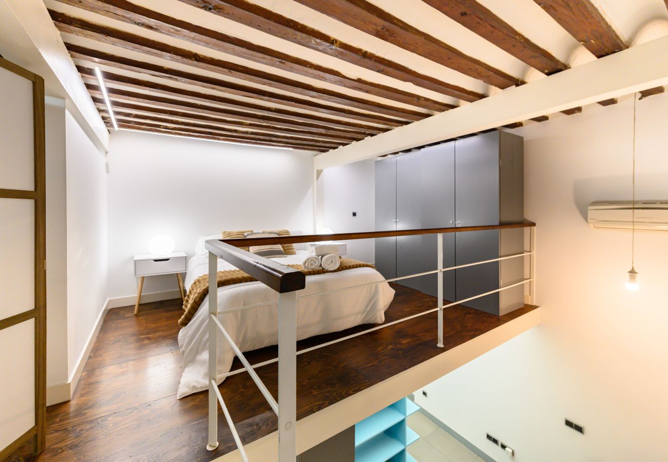 Apartamento en Madrid - M (ESA121ID) Amplio Dúplex en el centro de Madrid