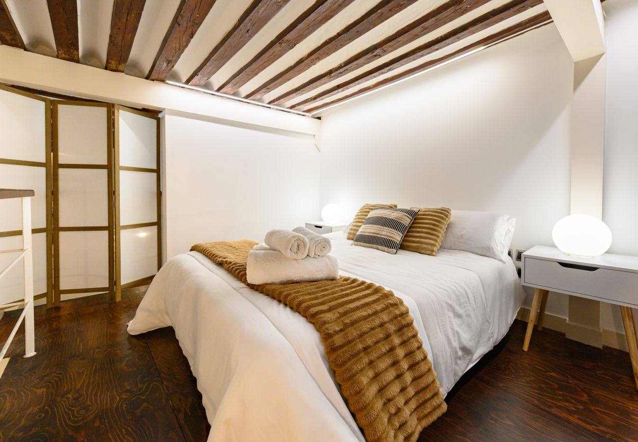 Apartamento en Madrid - M (ESA121ID) Amplio Dúplex en el centro de Madrid