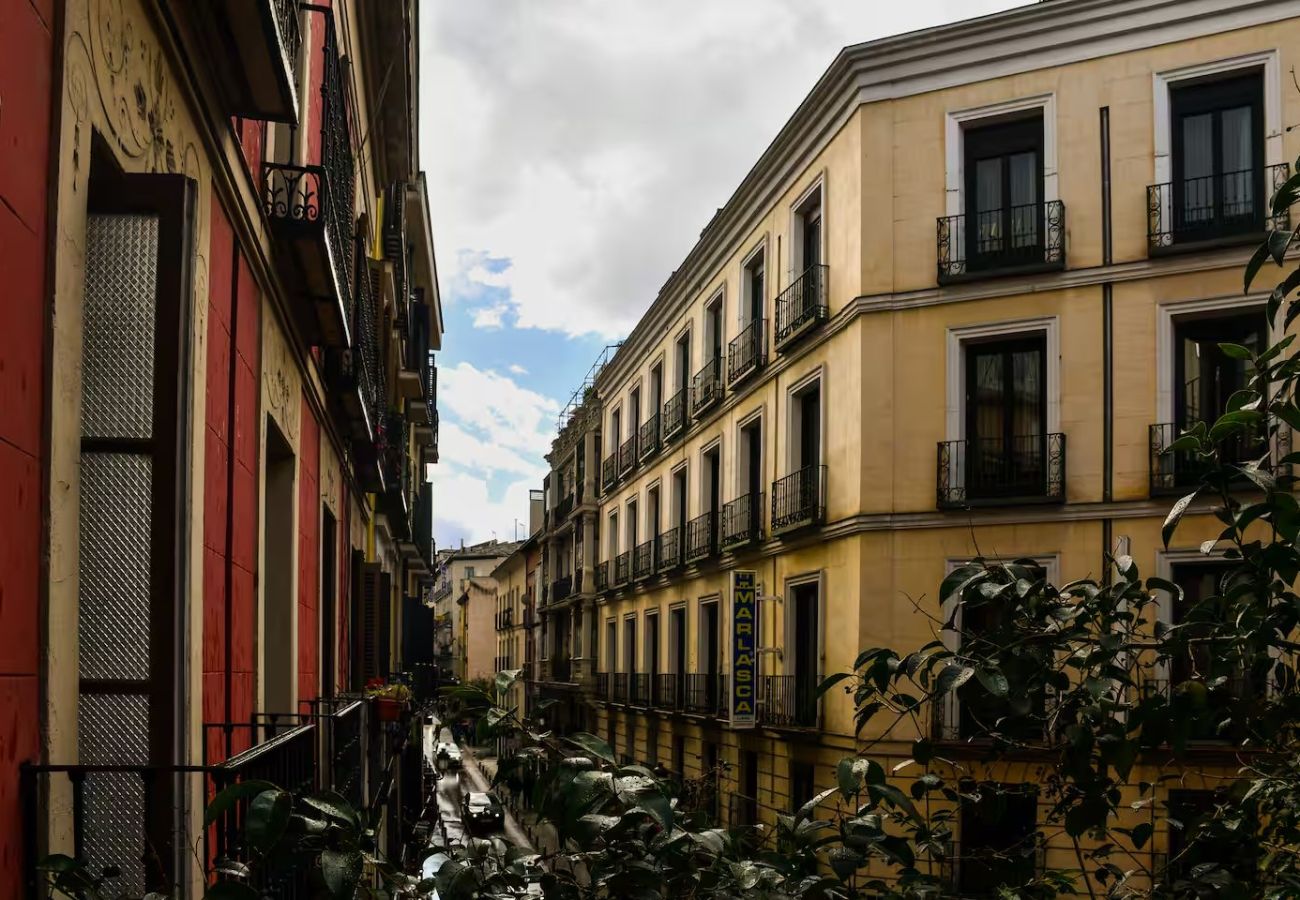 Apartamento en Madrid - M (DLC132I) Piso 2 dormitorios en el Centro de Mad
