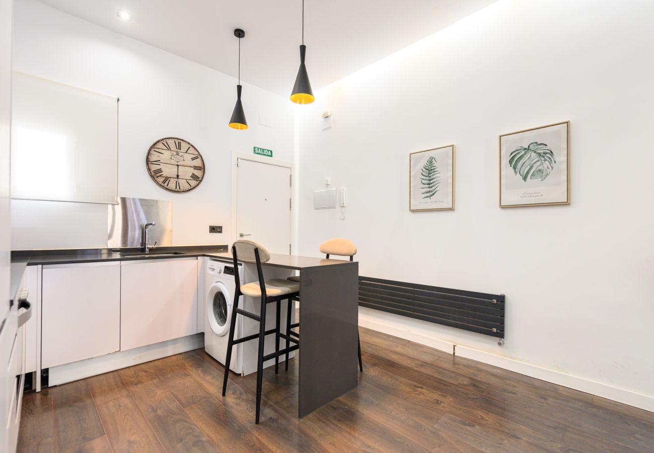 Apartamento en Madrid - M (TET263D) Piso 2 dormitorios en el Centro de Mad