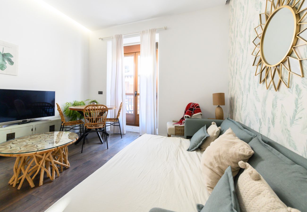 Apartamento en Madrid - M (TET263D) Piso 2 dormitorios en el Centro de Mad