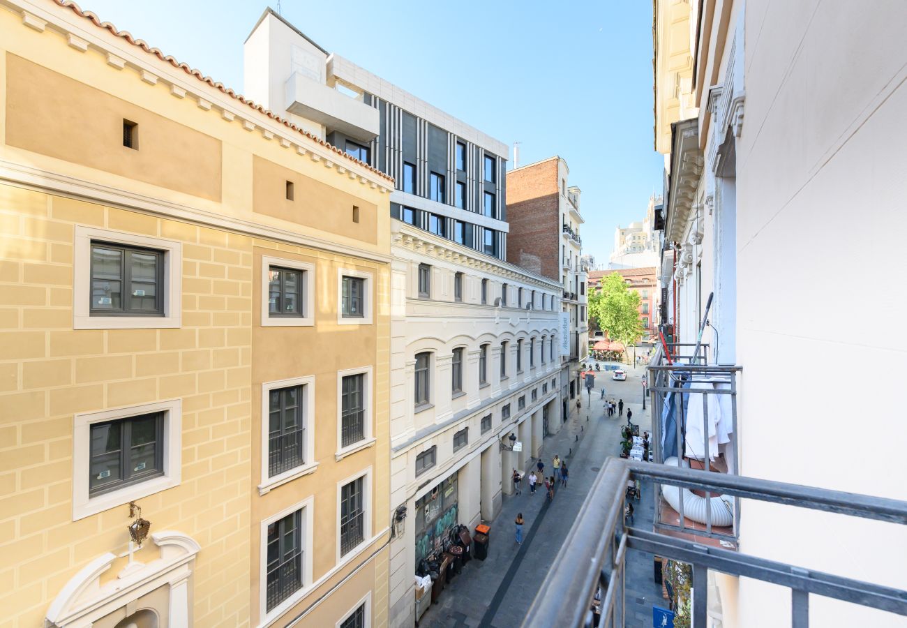 Apartamento en Madrid - M (TET263D) Piso 2 dormitorios en el Centro de Mad