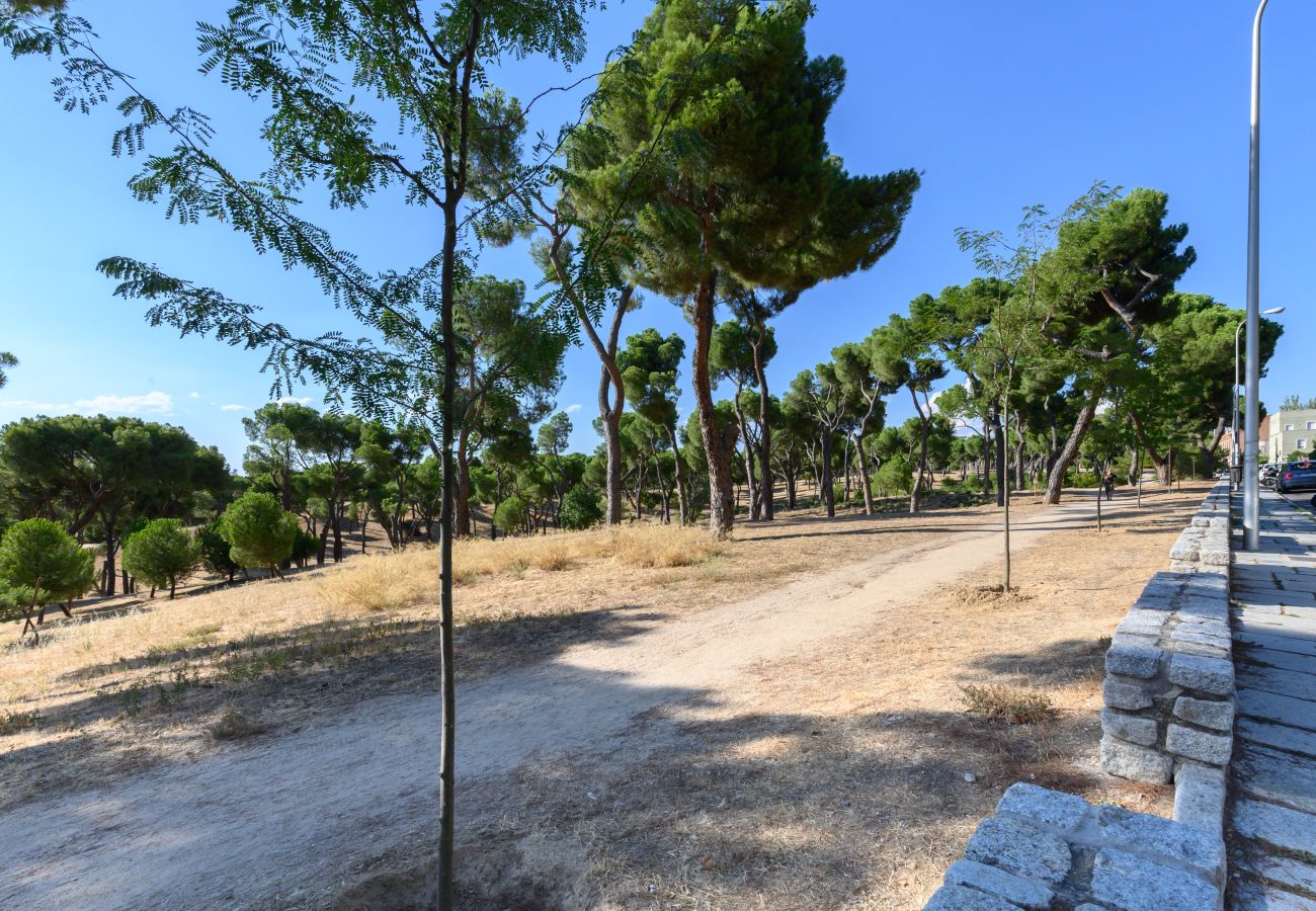Apartamento en Madrid - M (PIR312ºD) Piso 5 dormitorios, 2 baños en Moncl