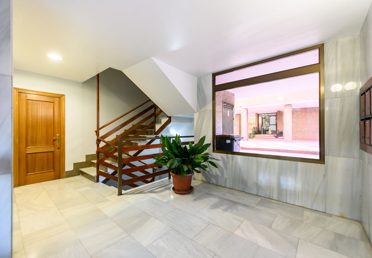 Apartamento en Madrid - M (ASO941B) Piso 3 dormitorios y 2 baños en Ciudad