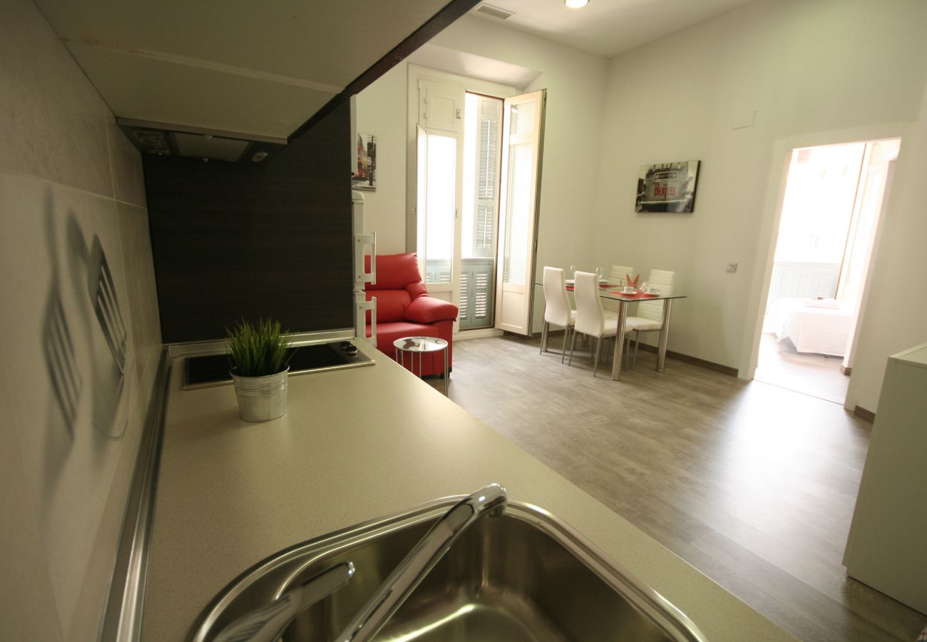 Apartment in Málaga - Calle Larios B