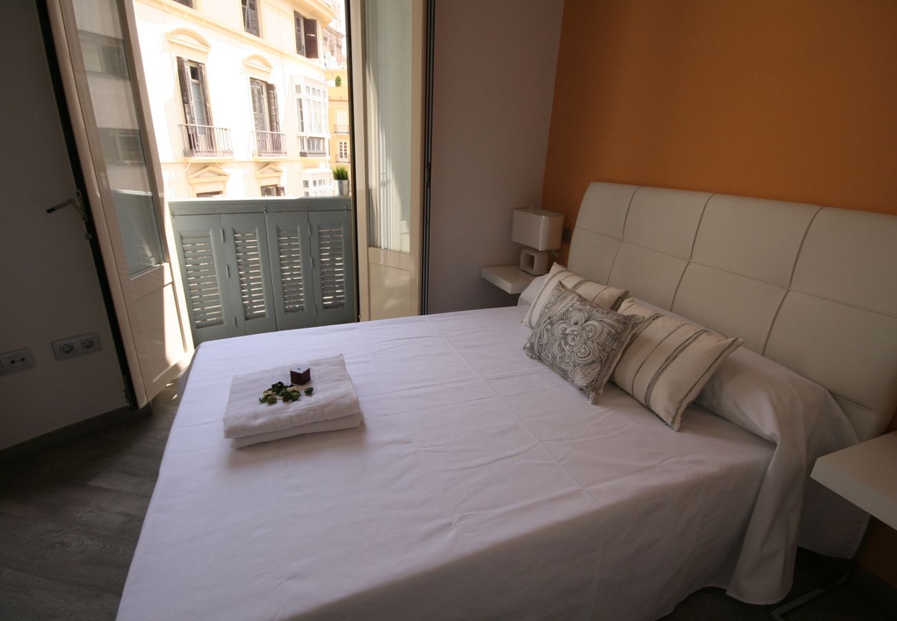 Apartment in Málaga - Calle Larios B