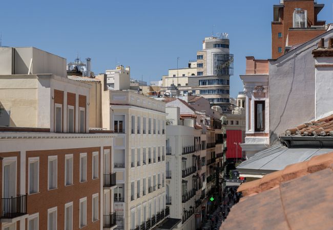 Apartment in Madrid - PENTHOUSE Apartment Madrid Downtown Puerta del Sol M (PRE5B)