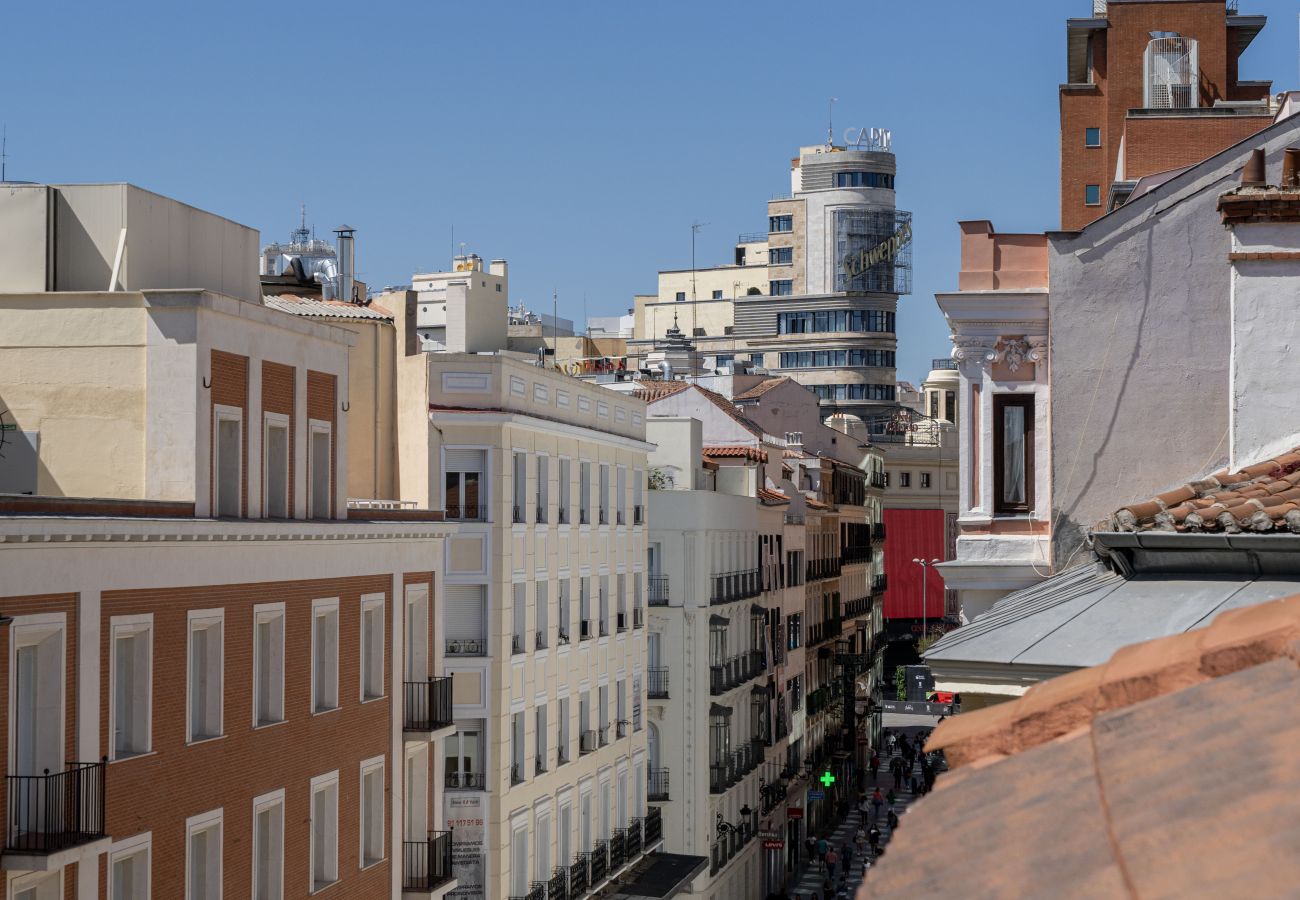 Apartment in Madrid - PENTHOUSE Apartment Madrid Downtown Puerta del Sol M (PRE5B)