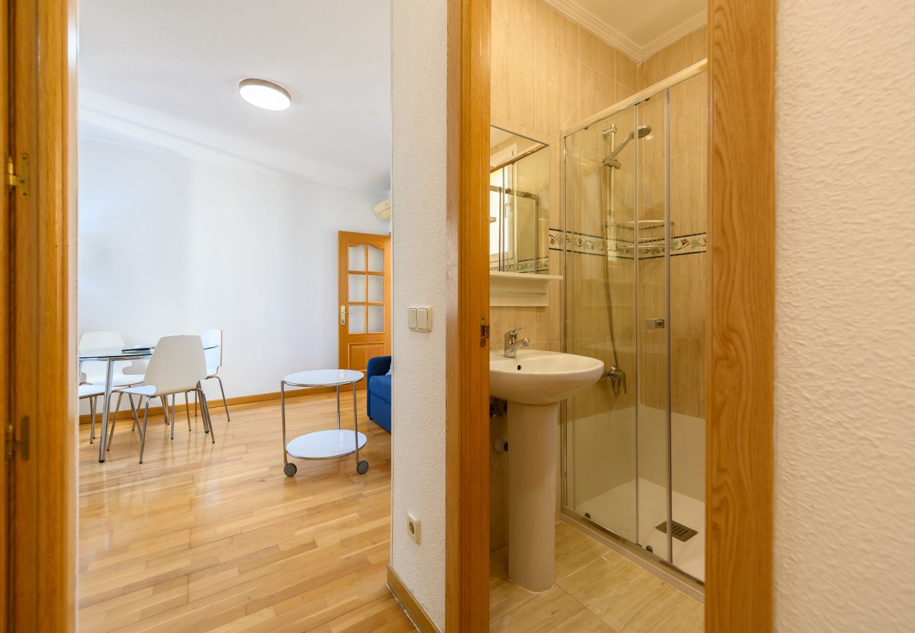 Apartment in Madrid - M (DFO214) Apartamento en el Museo Reina Sofía - A