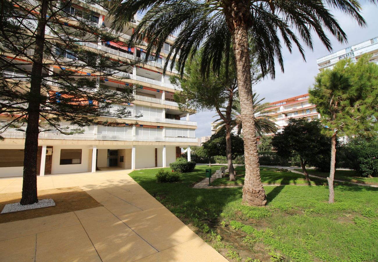 Apartment in Alicante / Alacant - Apartment for 6 people to 75 m beach