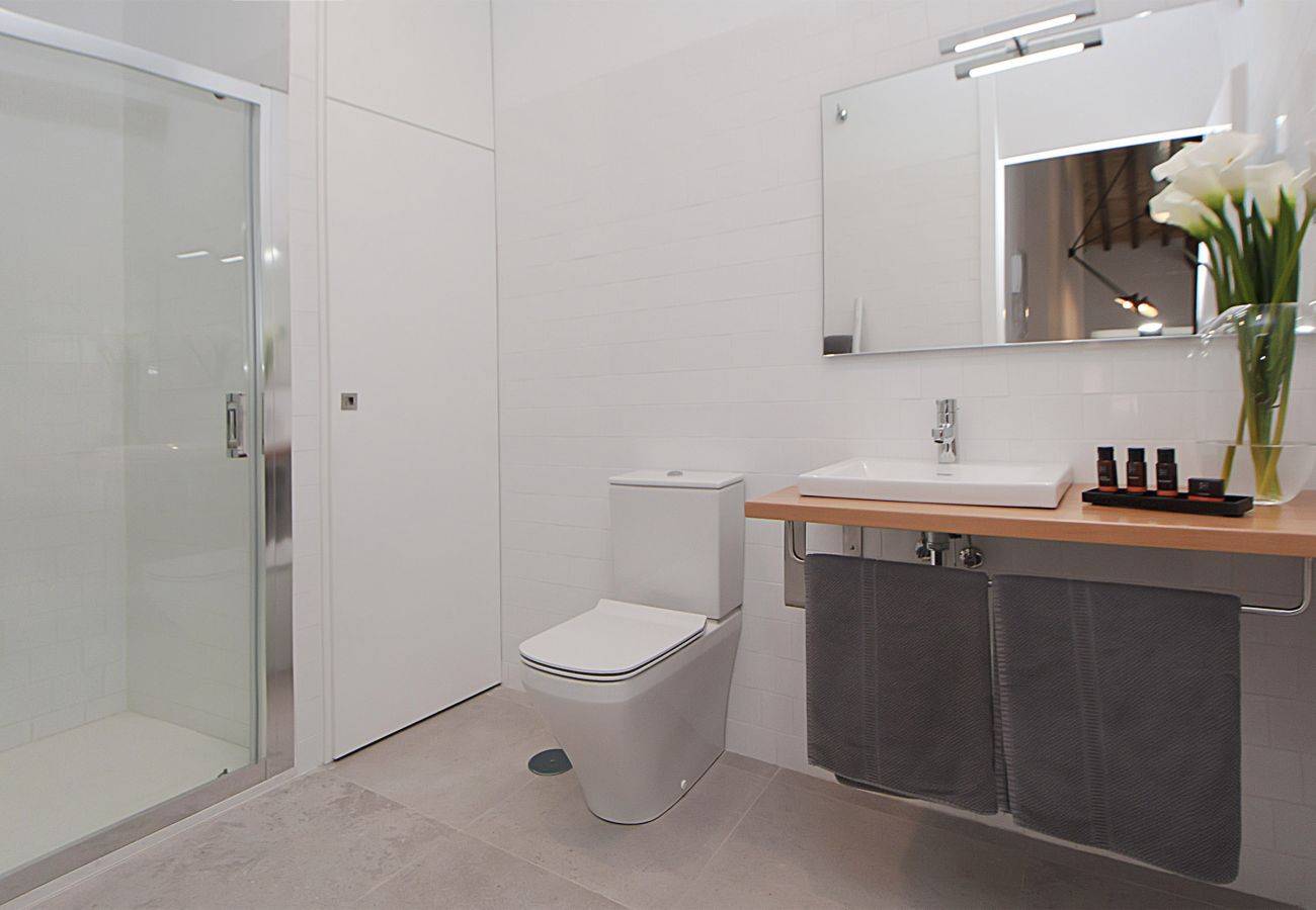 Apartment in Málaga - iloftmalaga Premium Centro Historico IV