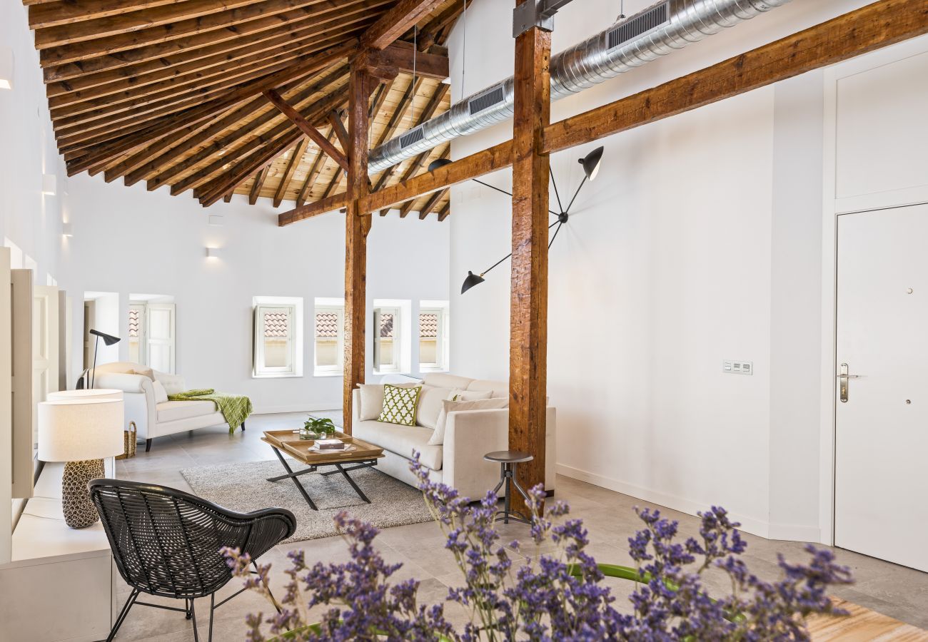 Apartment in Málaga - iloftmalaga Premium Centro Historico IV