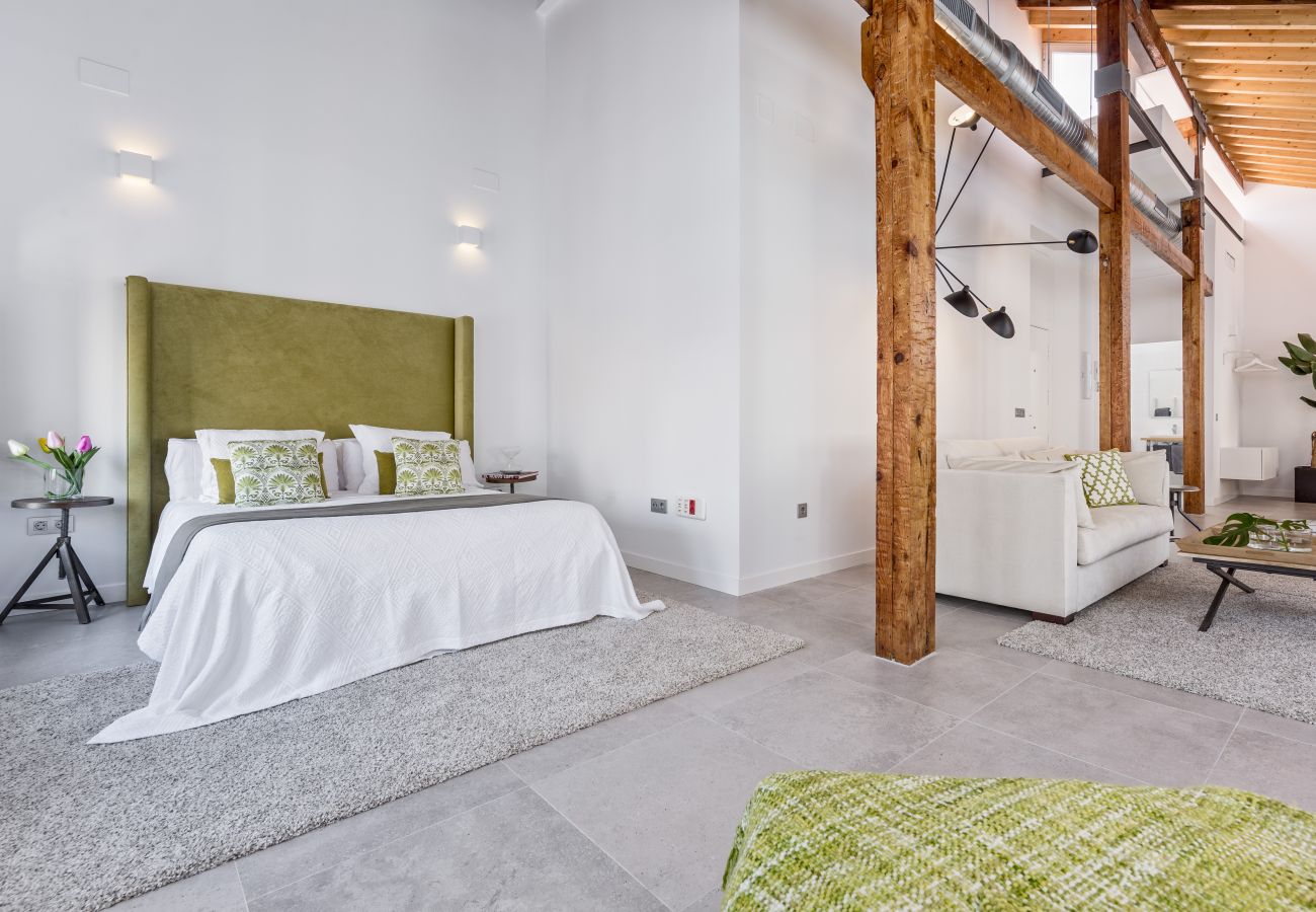 Apartment in Málaga - iloftmalaga Premium Centro Historico IV